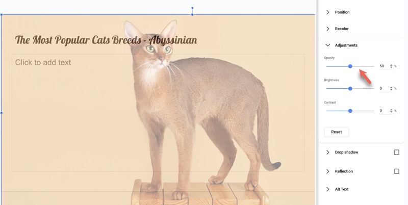 How to Make an Image Transparent in Google Slides