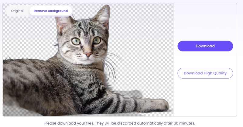How to Remove Background from Image with AI