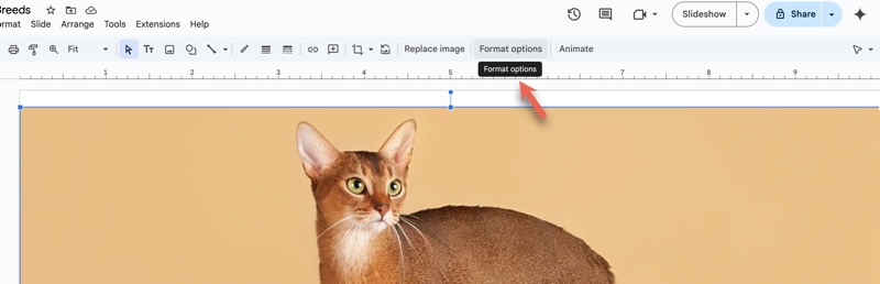 Image Format Option in Google Slides