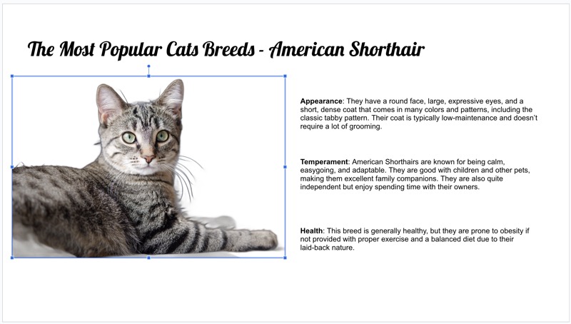 Paste a Transparent Image into Google Slides