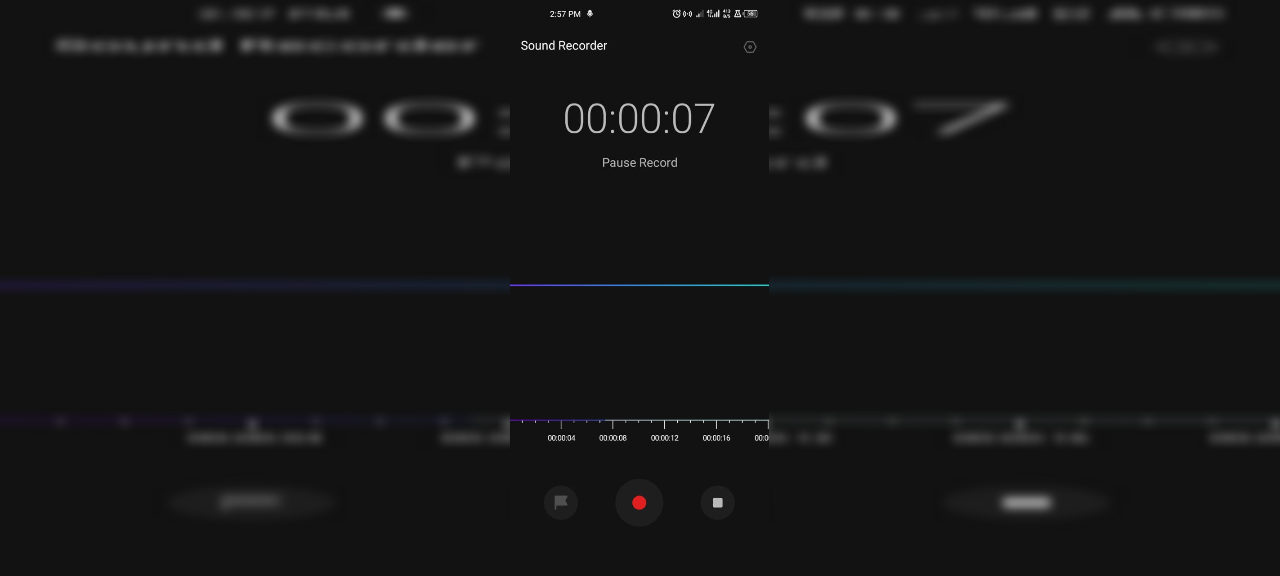 Record the Audio