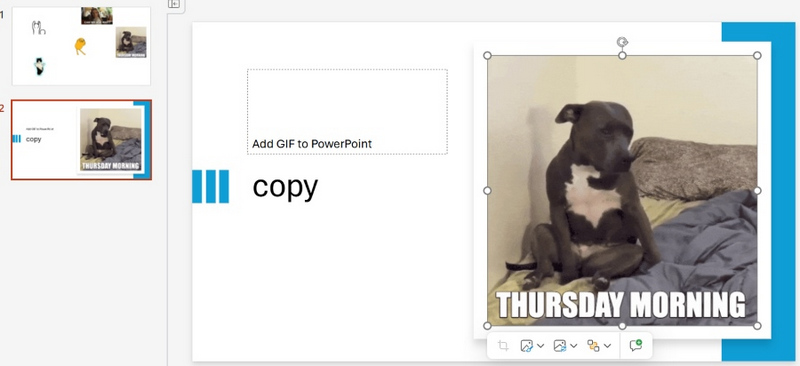 copiare e incollare per aggiungere GIF in PowerPoint