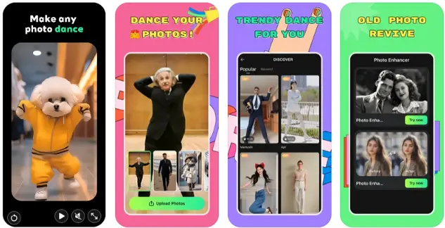 picdance-chien-qui-danse-1