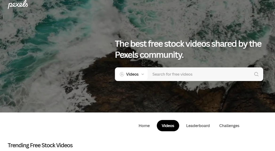 Video Scene Download Free - Pexels