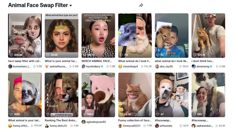 Animal Face Swap Filter on TikTok