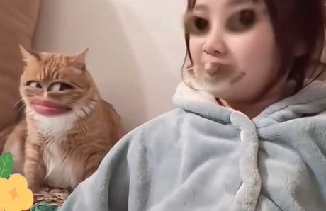 Pet-Owner Animal Face Swap
