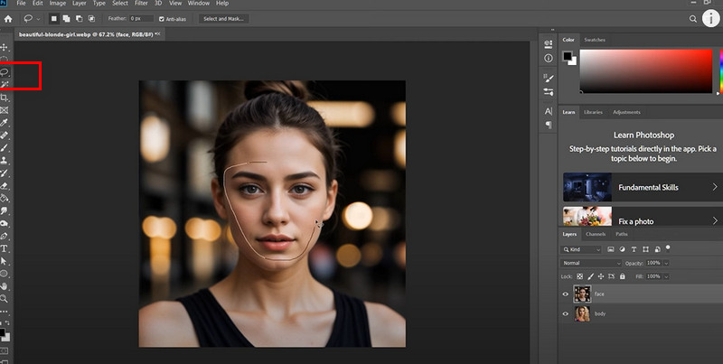 Photoshop Lasso Tool Face Swap for PC