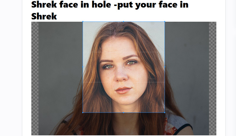 Shrek Face Swap Fotonb