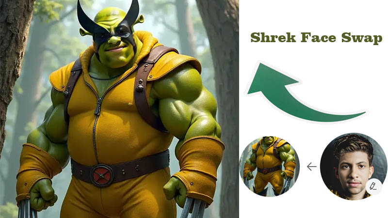 Best 5 AI Shrek Face Swap Tools Online - Enjoy the Contrast & Humor at Shrek Core!