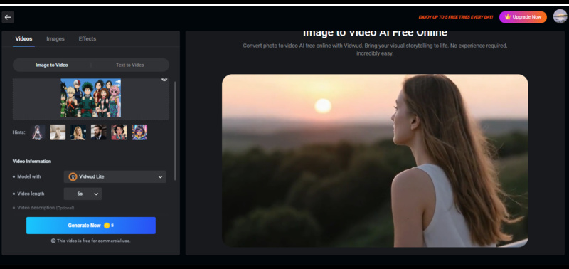 Vidwud Free Online MHA Video Generator