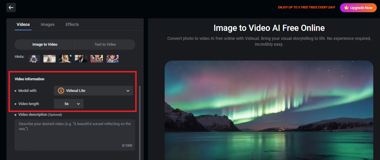 Choose the Model & Length of the Video