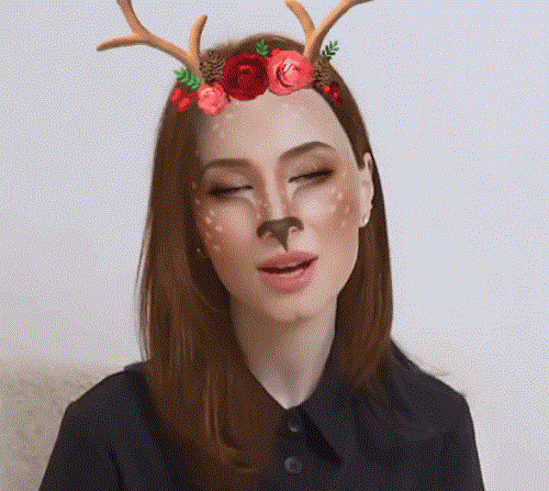 Animal Face Filter for Video