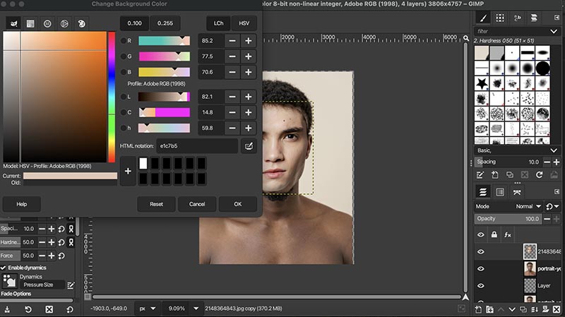 GIMP Face Swap Eraser
