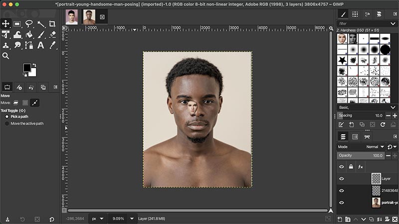 GIMP Face Swap Paste