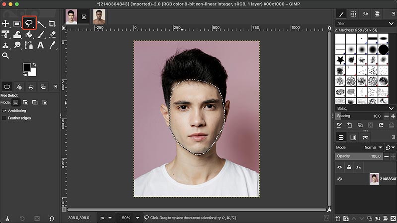 GIMP Face Swap Select