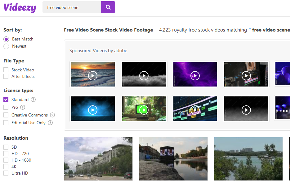 Free Video Scene Download Site - Videezy