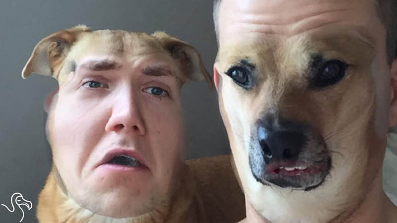 Dog Face Swap with Pet