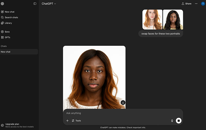 Face Swap in Lightroom ChatGPT Input Prompt