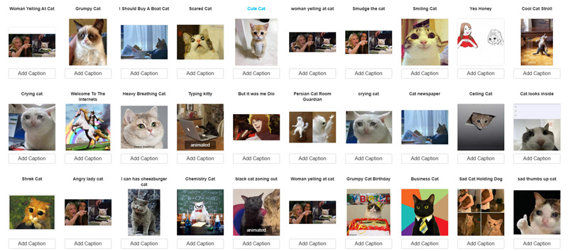 Cat Face Swap Image Material Templates