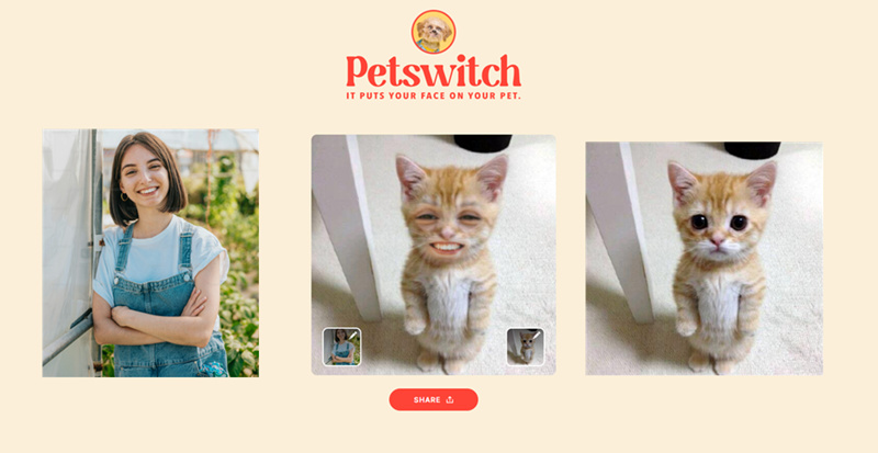 Petswitch Puts Cat Face on Your Face