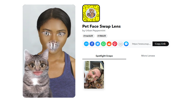 Snapchat Pet Face Swap Lenses