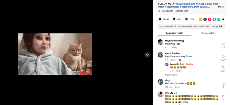 TikTok Cat Face Swap Video