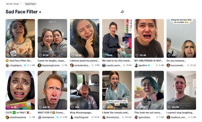 TikTok Crying Filter