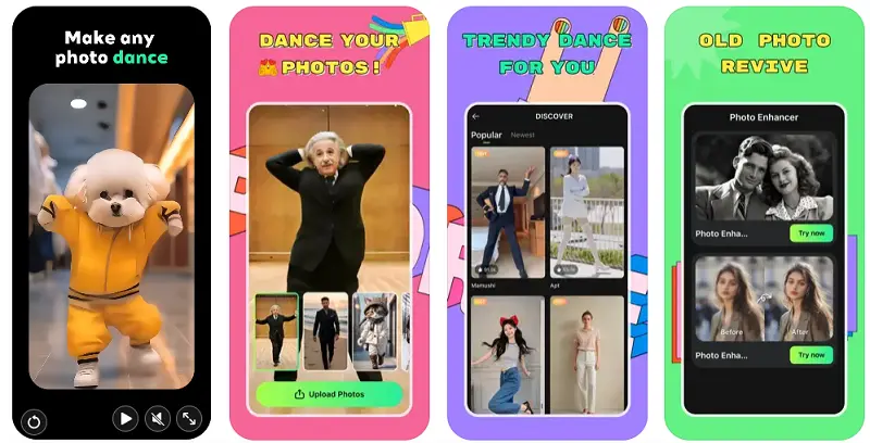 app crear video de perro bailando-Pic Dance