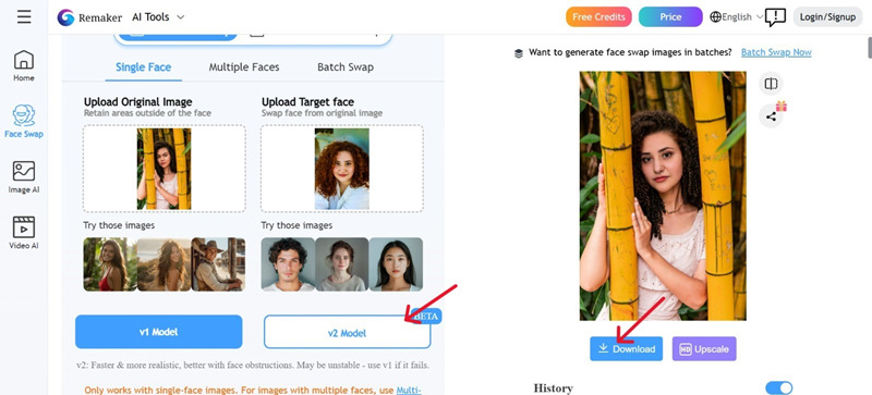 Select the Model and After Swap, Click on Download