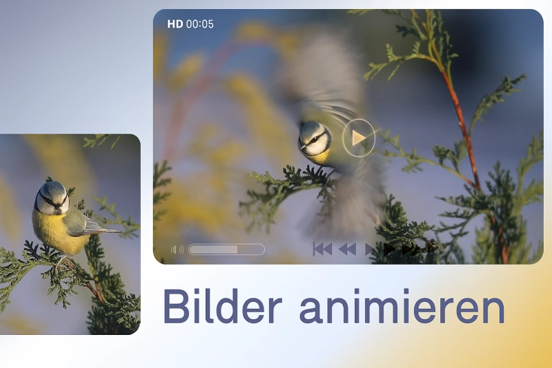 So kann man Bilder animieren | Bilder bewegen lassen