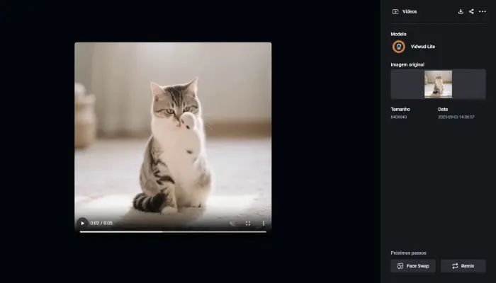 veja o video gerado por vidwud