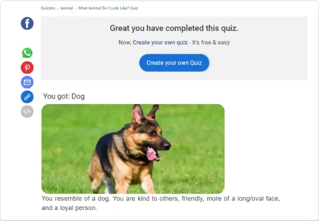 quel-animal-es-tu-quiz-2