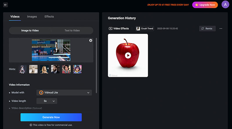 AI Cat Diving Vidwud Upload Image