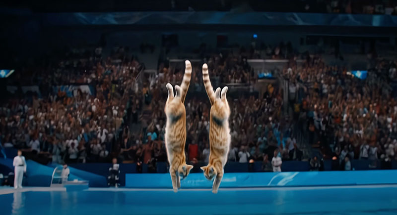 How to Create an AI Cat Diving Olympic Video for TikTok/YouTube