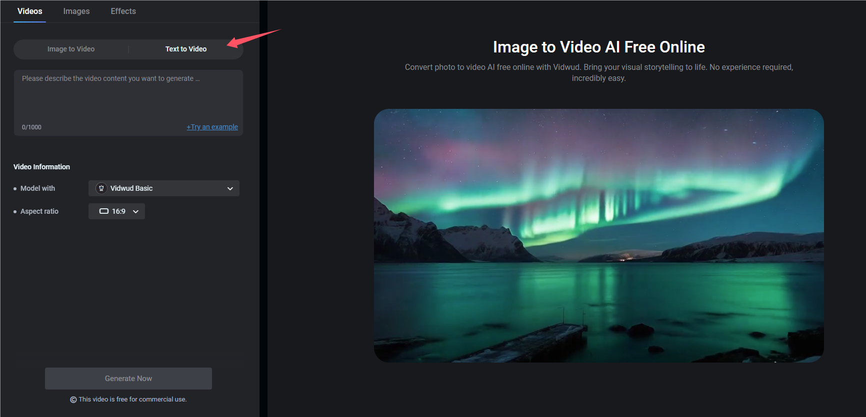 Create AI Cat Diving with Text to Video