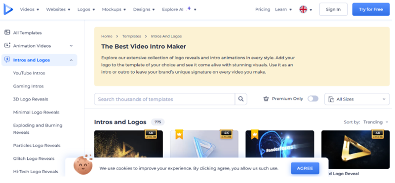 site-intro-video-gratuit-renderforest