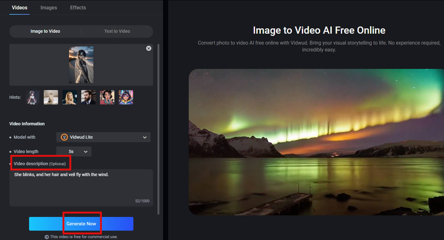 Input Prompt to Make Filter Video