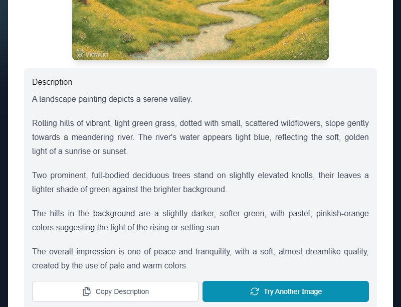 DocsBot圖像描述生成工具