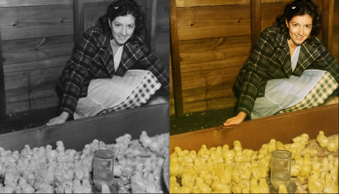 Como colorir foto preto e branco no chatgpt