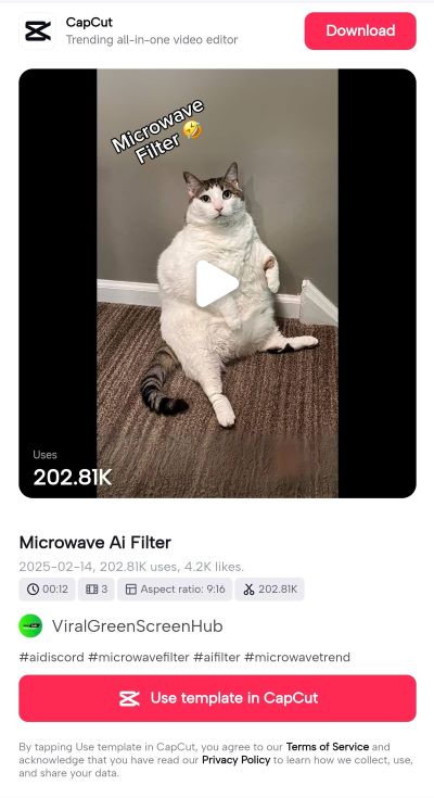 使用 CapCut 製作 AI微波特效TikTok影片