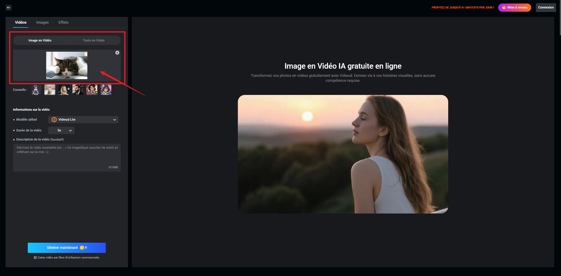 animation 3D - Vidwud