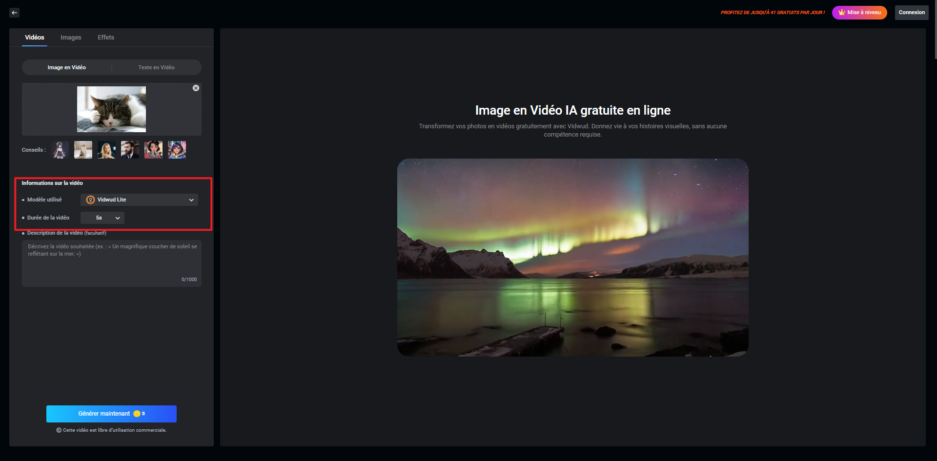 vidéo animée - Vidwud