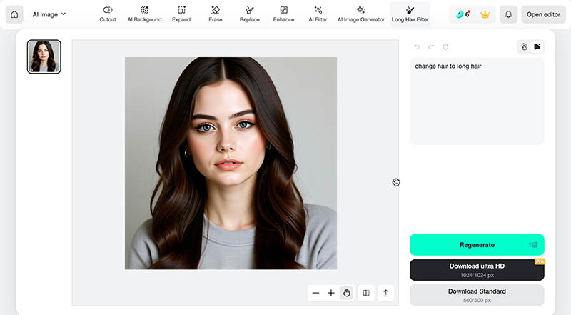 filtre cheveux longs – insMind